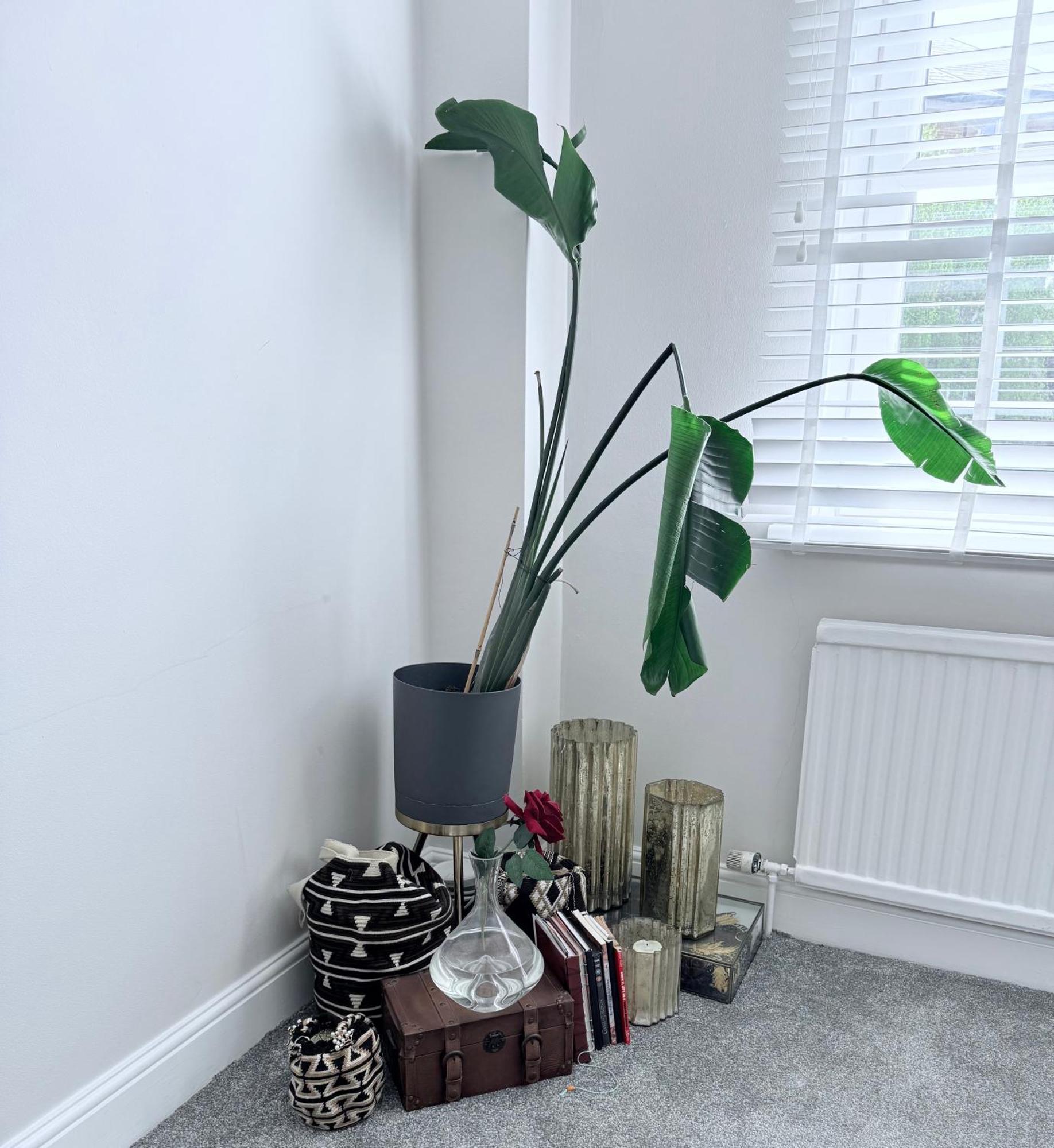 Bright And Modern Flat Near Portobello Road And The Canal Londra Exterior foto